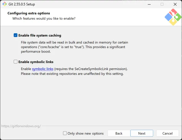 Git for Windows extra options screen with file system caching enabled and symbolic links disabled